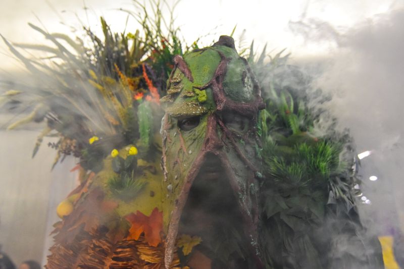 Swamp Thing DC Universe