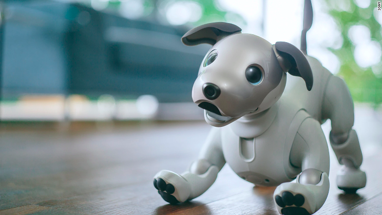 Sony plans to release its $2899 Aibo robot puppy in the U.S. 10