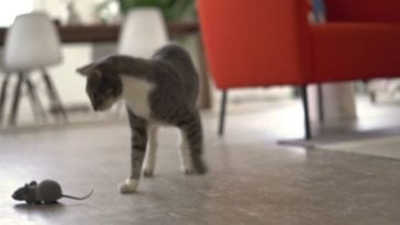 Your cat will go crazy for this app-controlled RC mouse 2