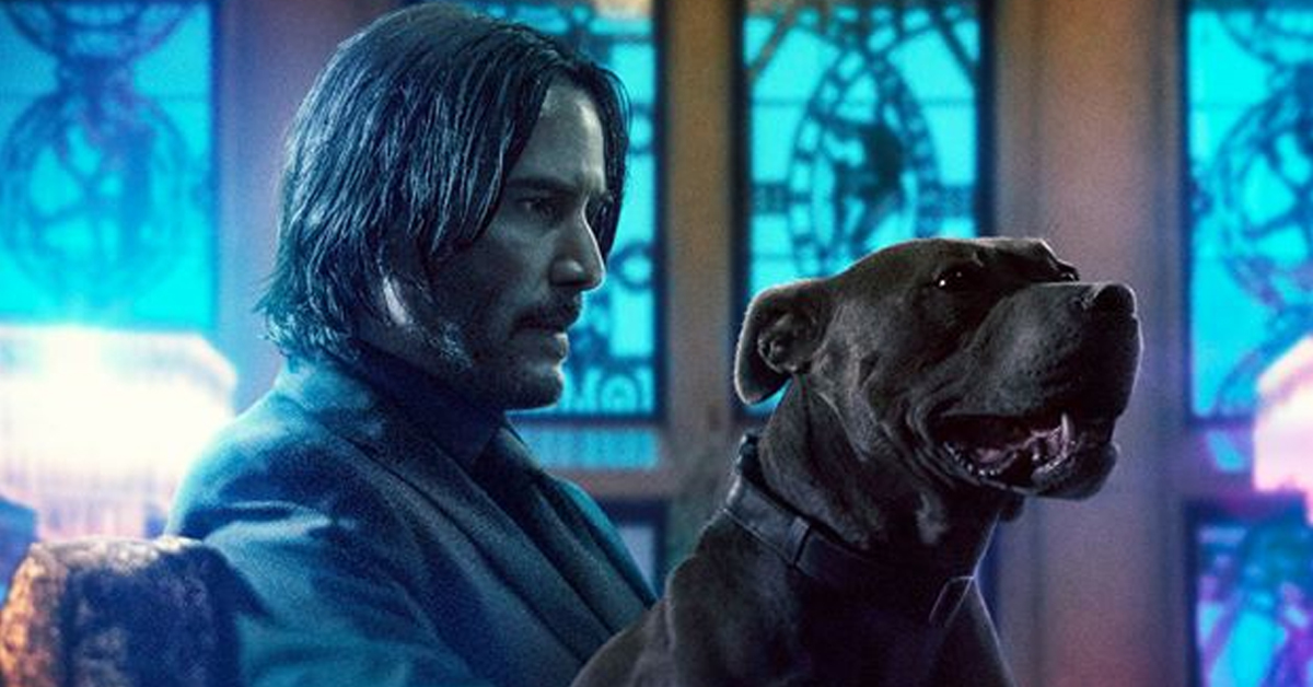 John Wick and his pit bull