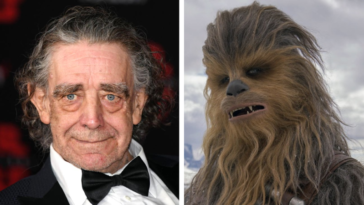 Chewbacca actor Peter Mayhew dies 1