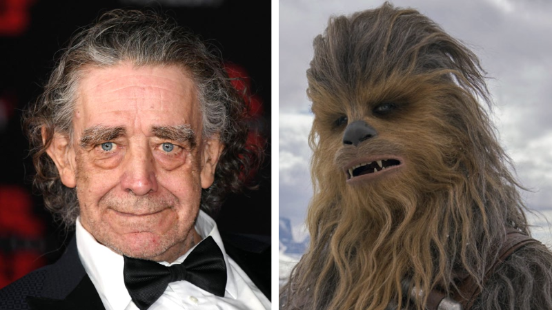 Chewbacca actor Peter Mayhew dies 2