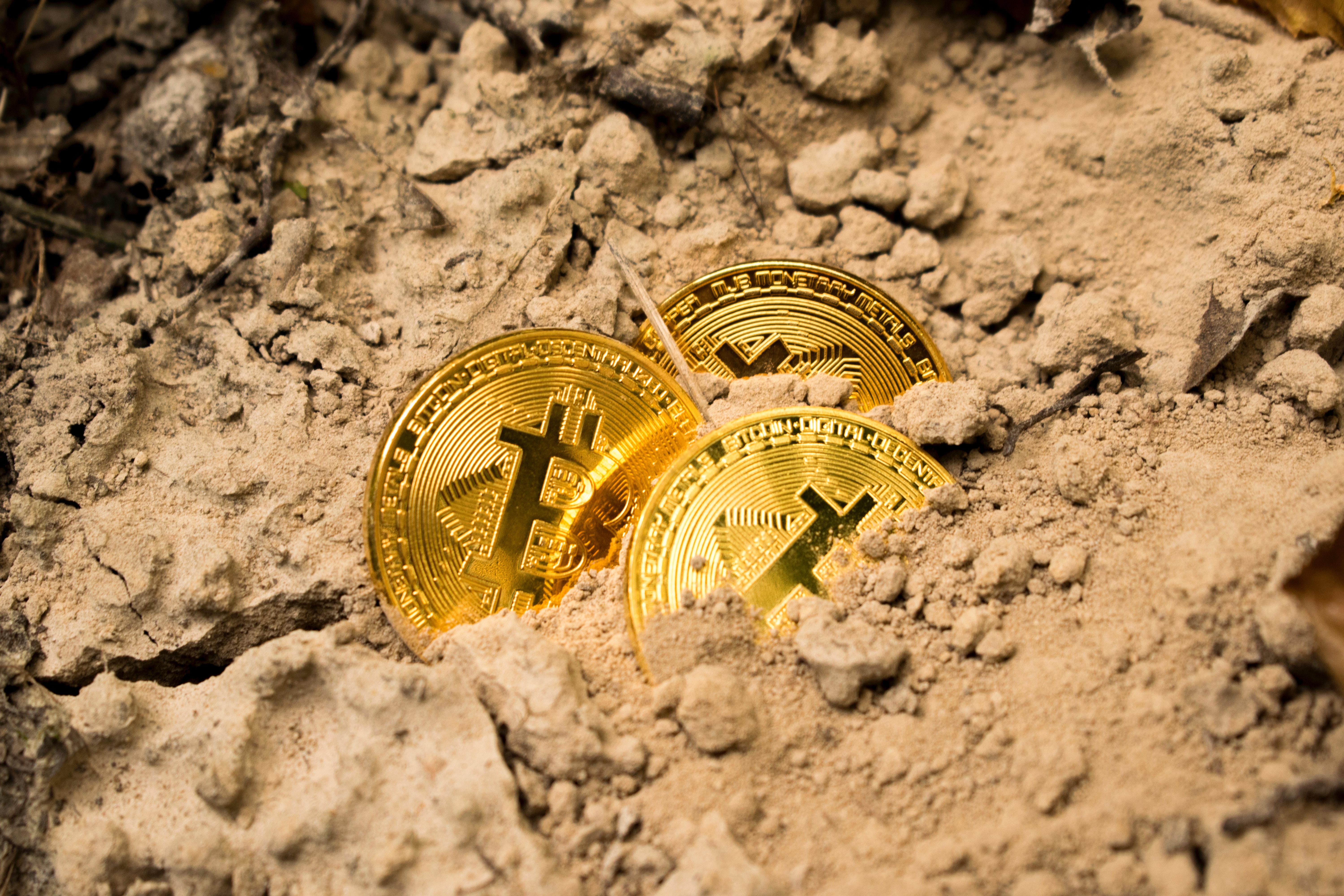 Angry mob burns Bitcoin Wallets' owner's home after being scammed 2