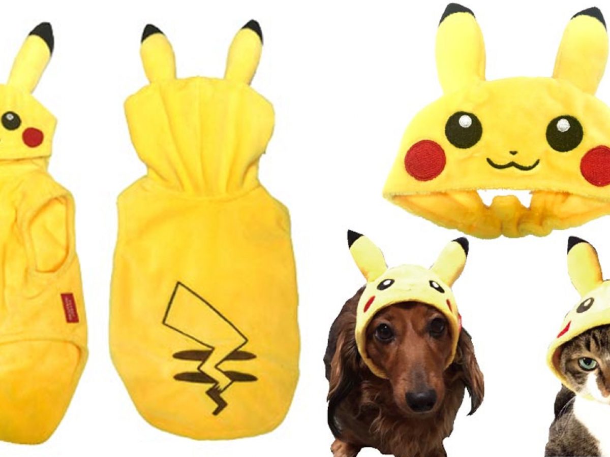 pokemon dog clothes