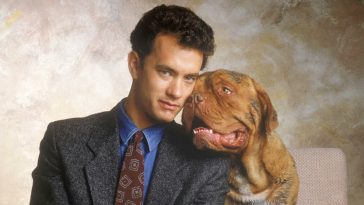 A Turner & Hooch TV series is in the works at Disney+ 10