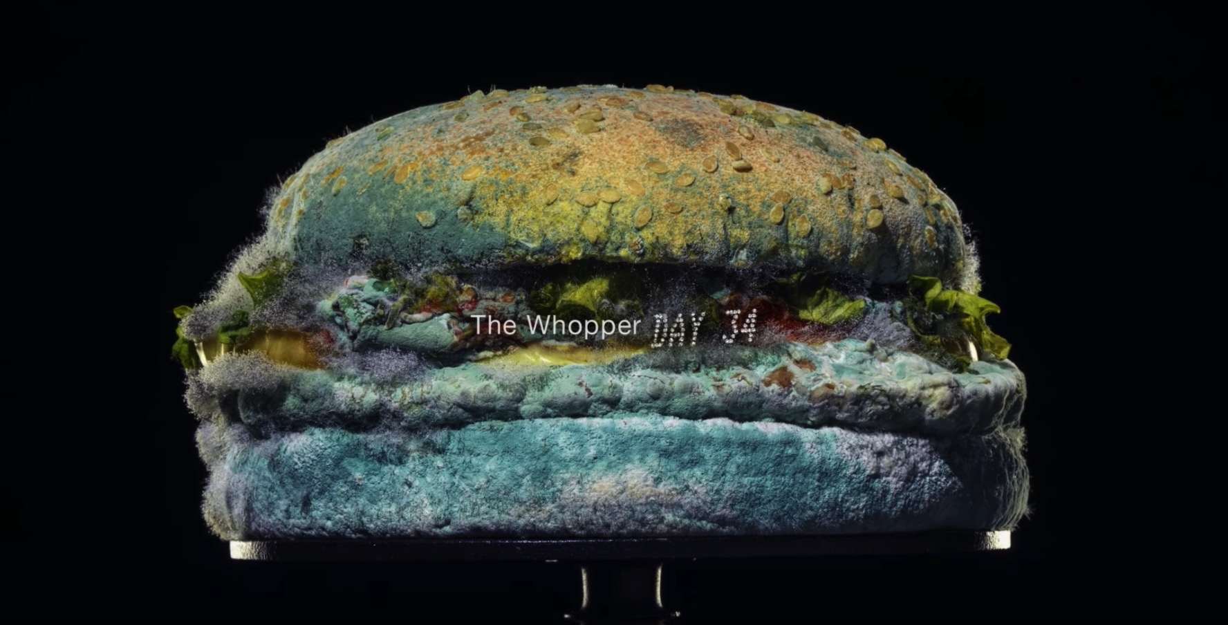 Moldy Whopper commercial could make you lose your lunch just from watching it 10