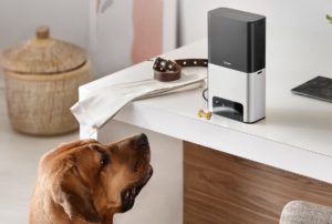 Petcube Play 2 and Petcube Bites 2 review: A fun way to monitor and feed your pets remotely 22