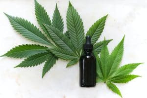 CBD may prevent COVID-19 scientists say 183