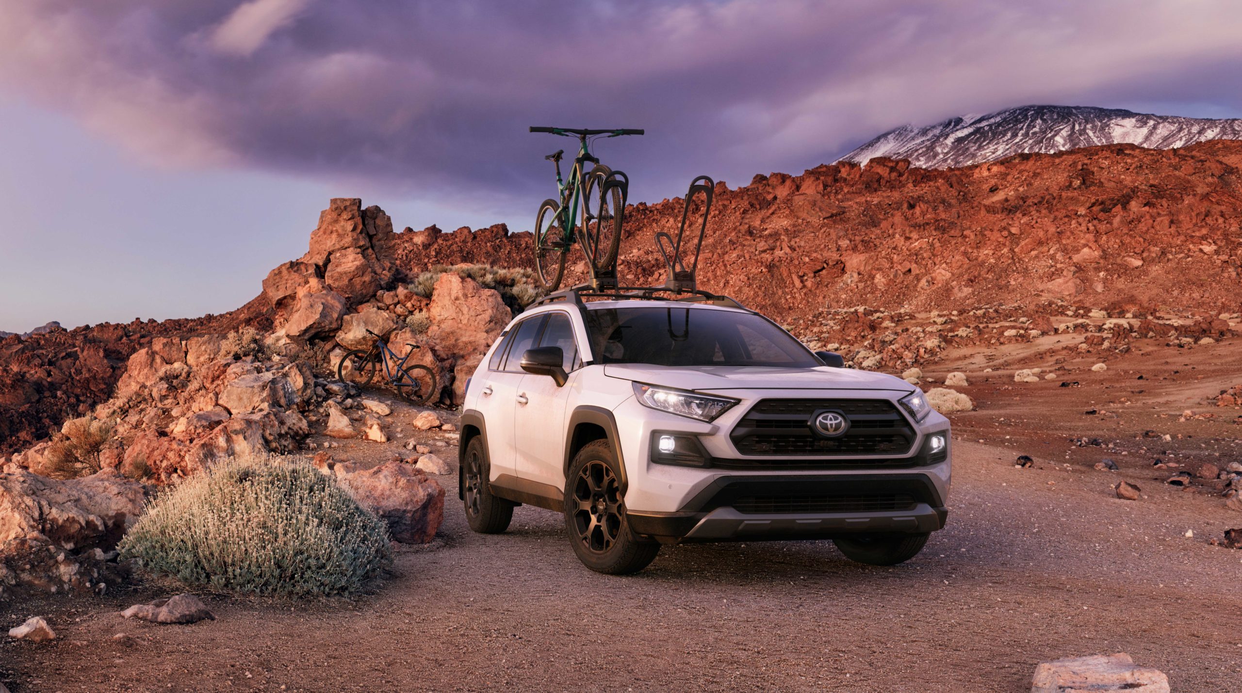 2020 Toyota RAV4 TRD Off-Road Compact SUV review 10