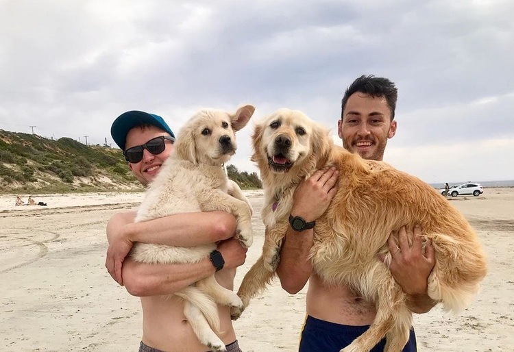 Happy Dog Gets A Puppy Brother On Her Birthday 28 Happy Dog Gets A Puppy Brother On Her Birthday 28