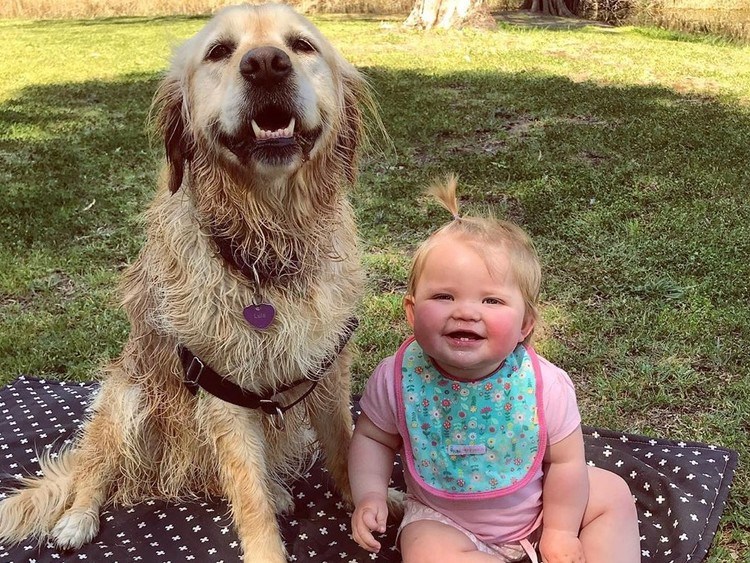Happy Dog Gets A Puppy Brother On Her Birthday 37 Happy Dog Gets A Puppy Brother On Her Birthday 37