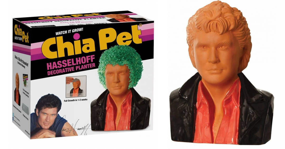 Knight Rider star David Hasselhoff is now a Chia Pet 1