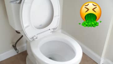 Things that are dirtier than a toilet seat