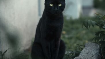 Strangest superstitions