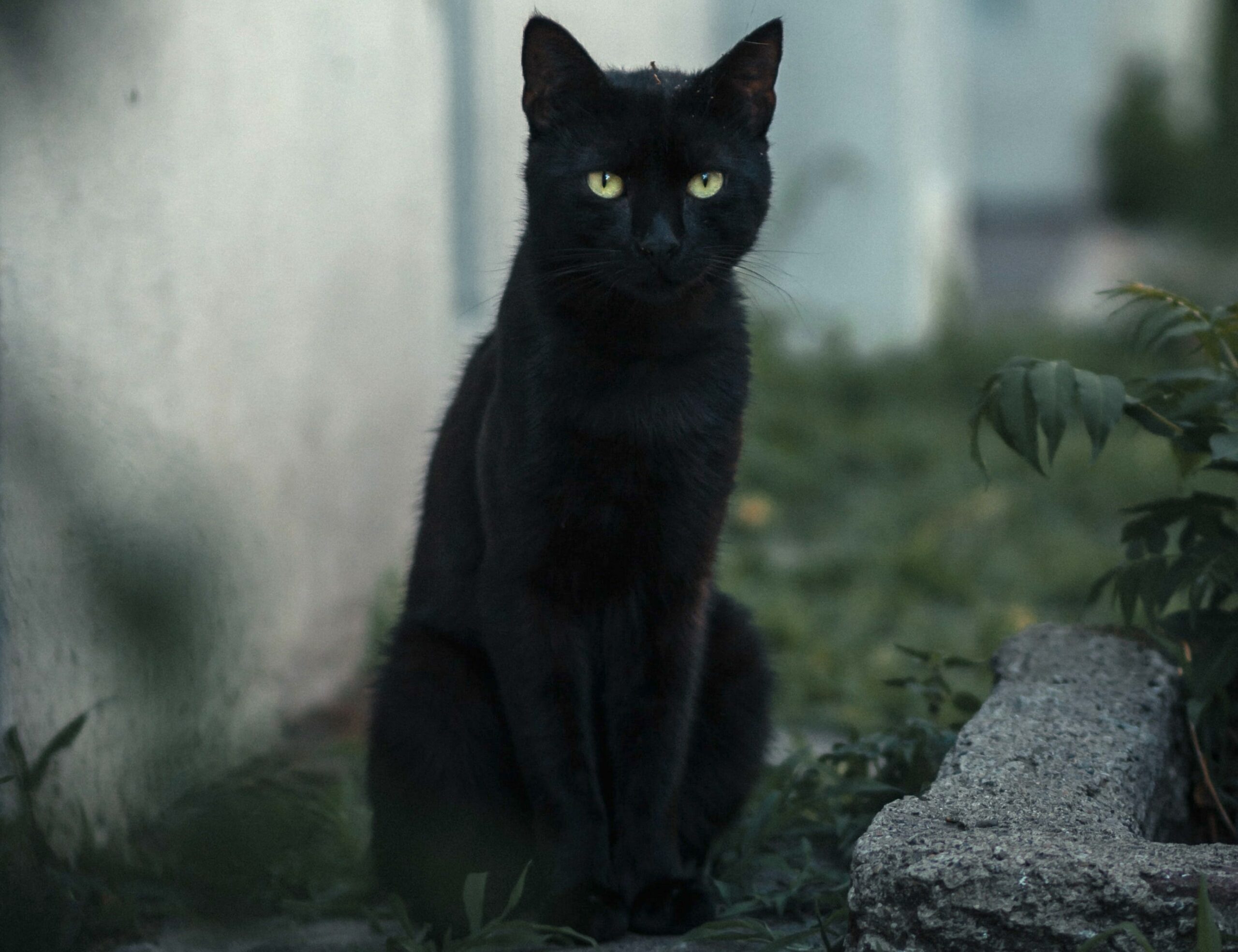Strangest superstitions