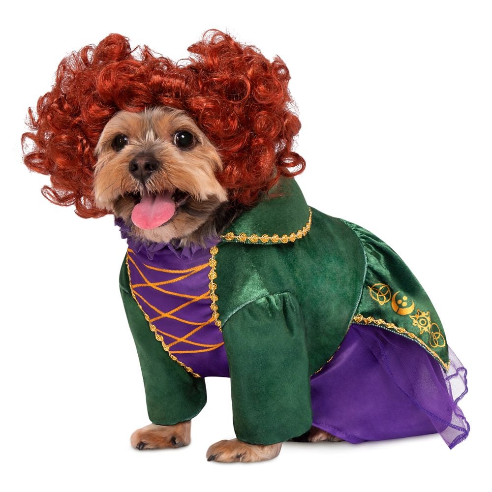 shopDisney kicks off the Halloween month with Hocus Pocus dolls 22