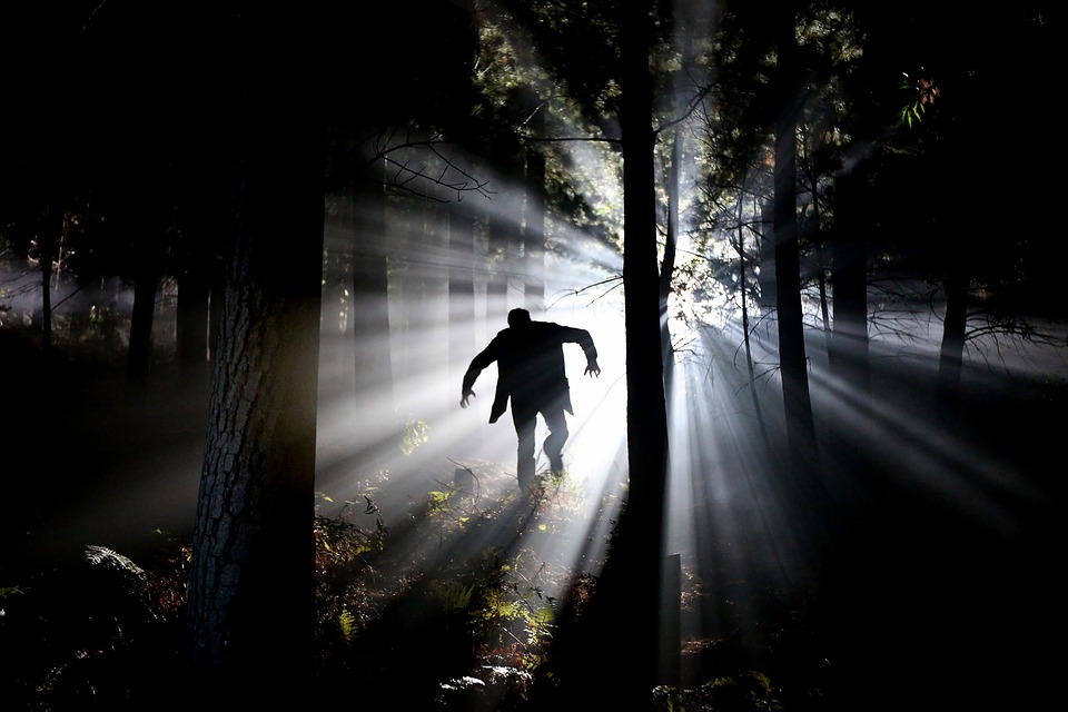 Real-Life Horror Stories: People Worldwide Share Their Spine-Tingling Encounters 17