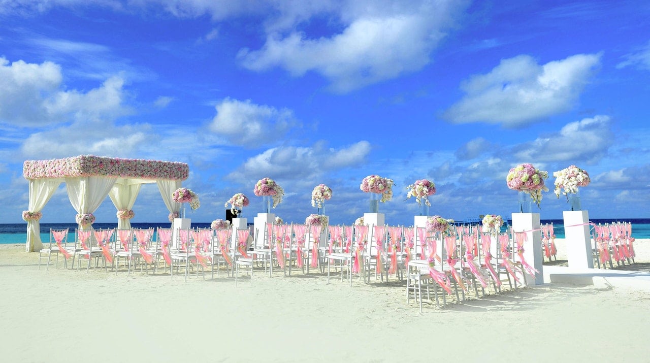 Doomed From The Start: Guests Share Wedding Experiences That Made Them Realize The Marriage Wouldn't Last 45