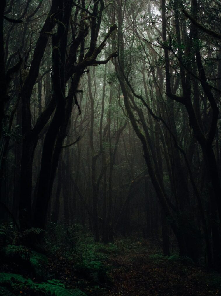Remote Workers Share The Creepiest Things They've Noticed While At Work 1