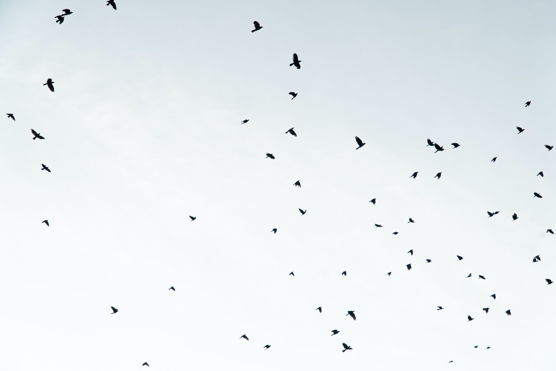 Beyond Natural: People Share The Creepiest Things That Have Happened to Them 24