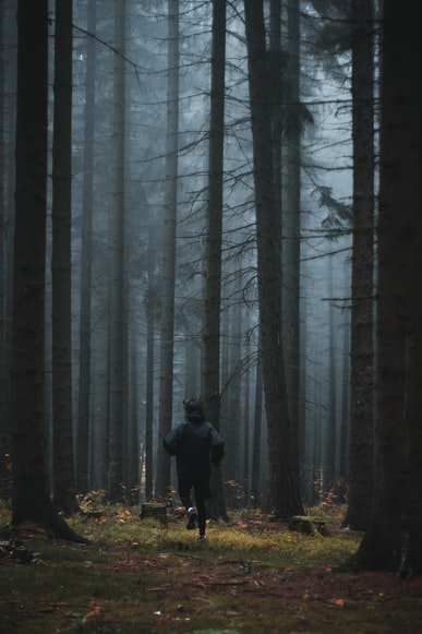Real-Life Horror Stories: People Worldwide Share Their Spine-Tingling Encounters 28