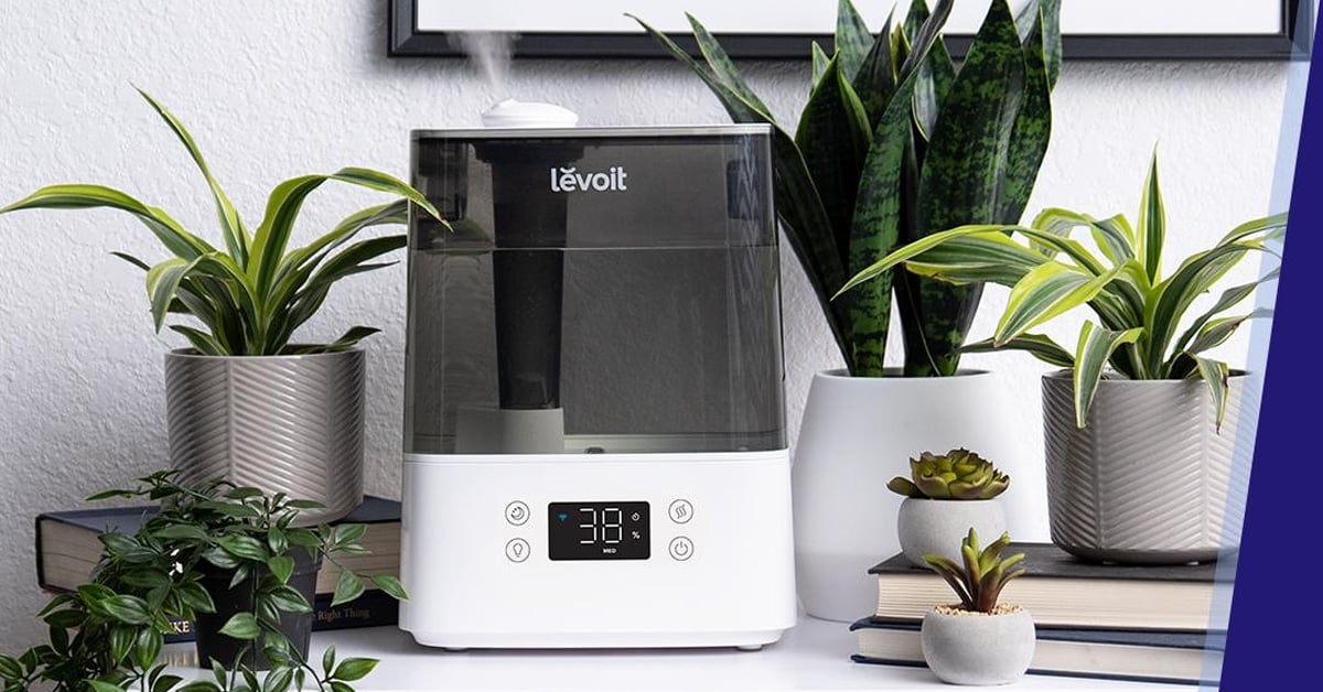 Levoit Classic 300S cool mist humidifier - tour best humidifier for plants