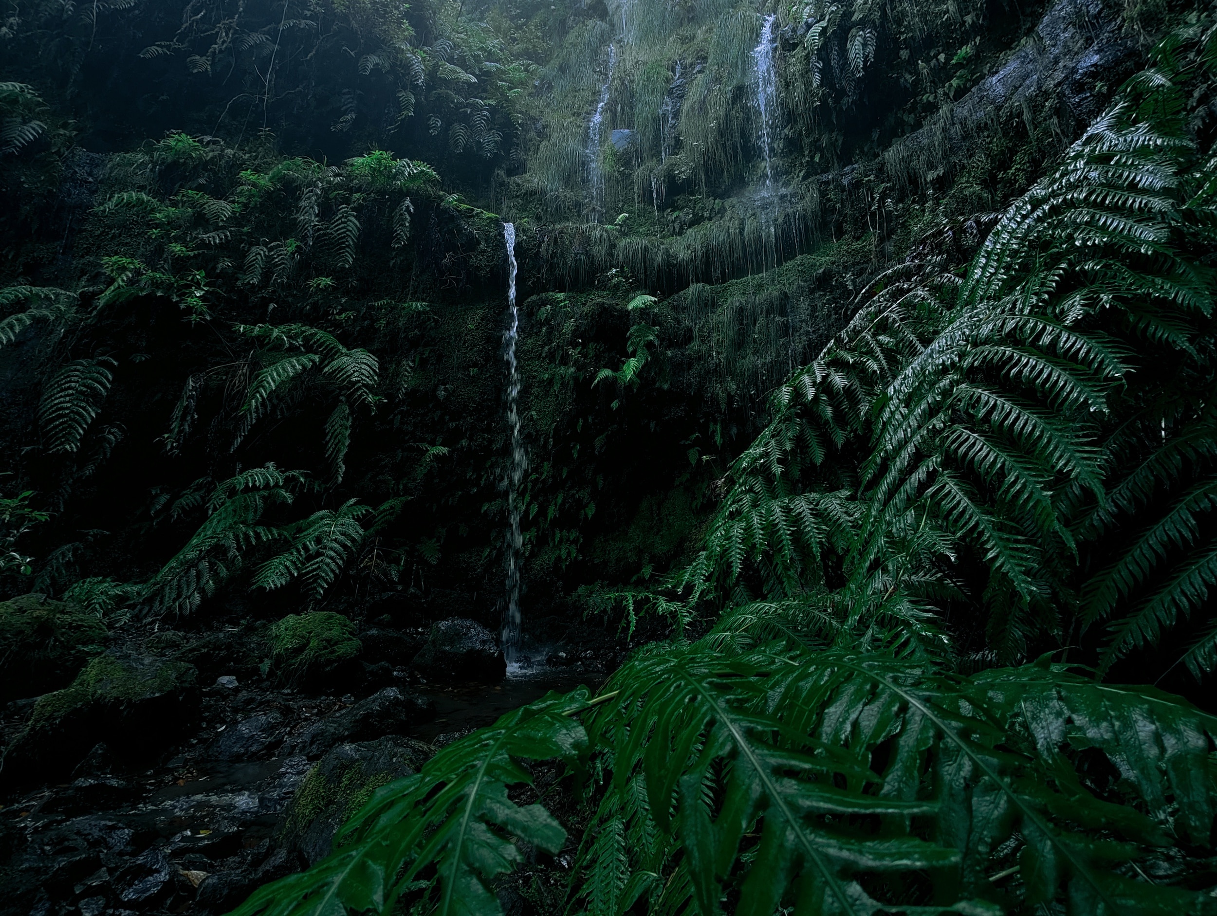 Shot on OnePlus 10 Pro