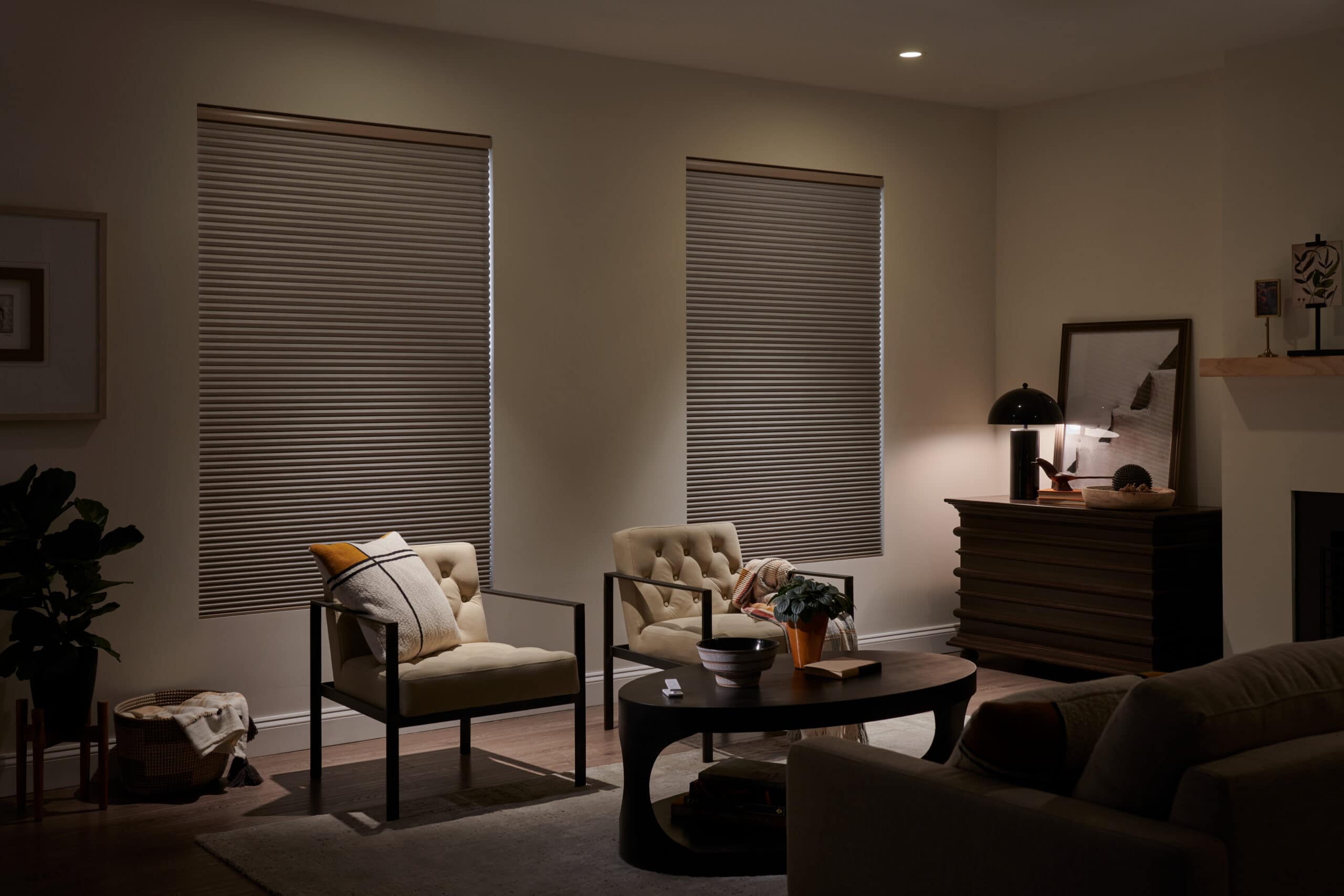 Get a properly dark entertainment room with the Lutron Serena smart architectural honeycomb shades 1