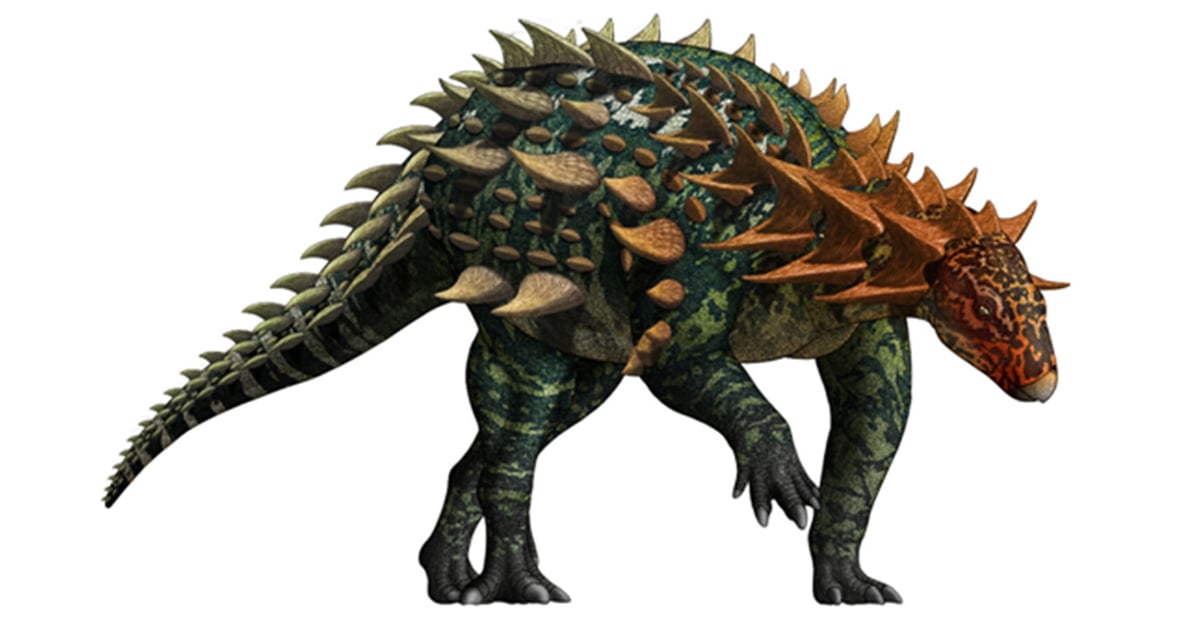A photo of Yuxisaurus kopchicki, a new armored dinosaur species discovered in China