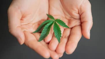 Top 10 best and worst cities to get stoned