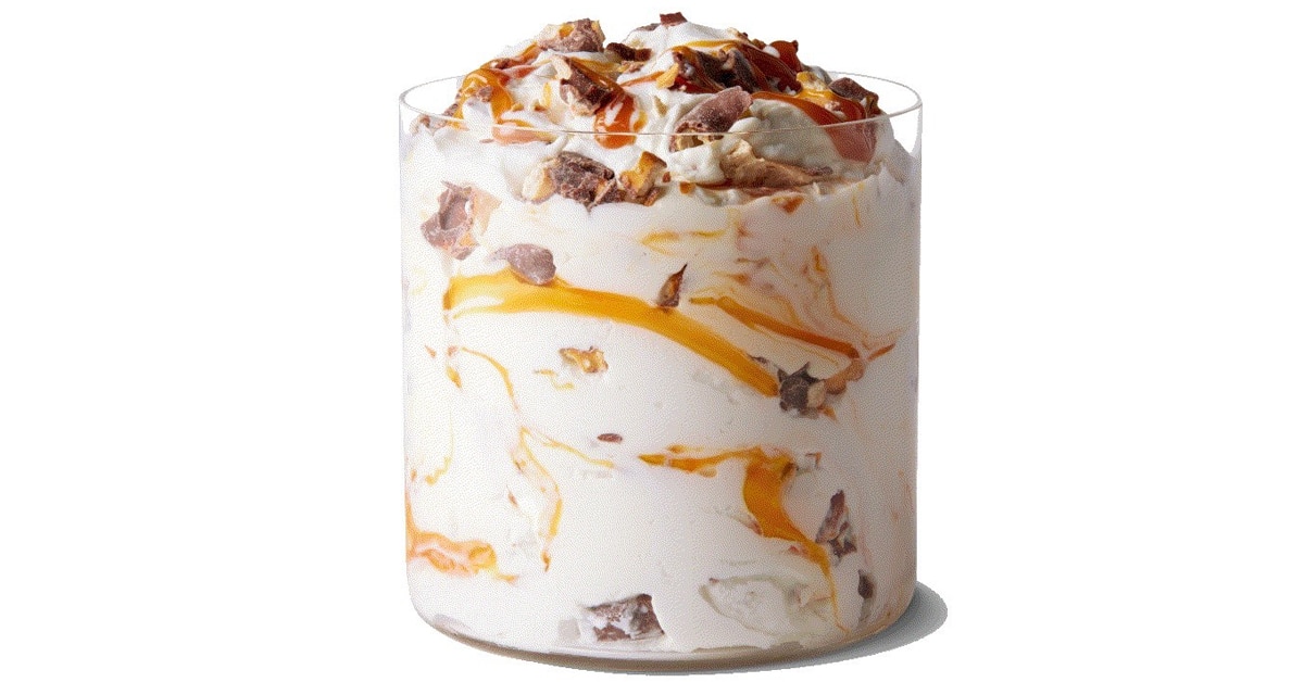 McDonald's Chocolatey Pretzel McFlurry