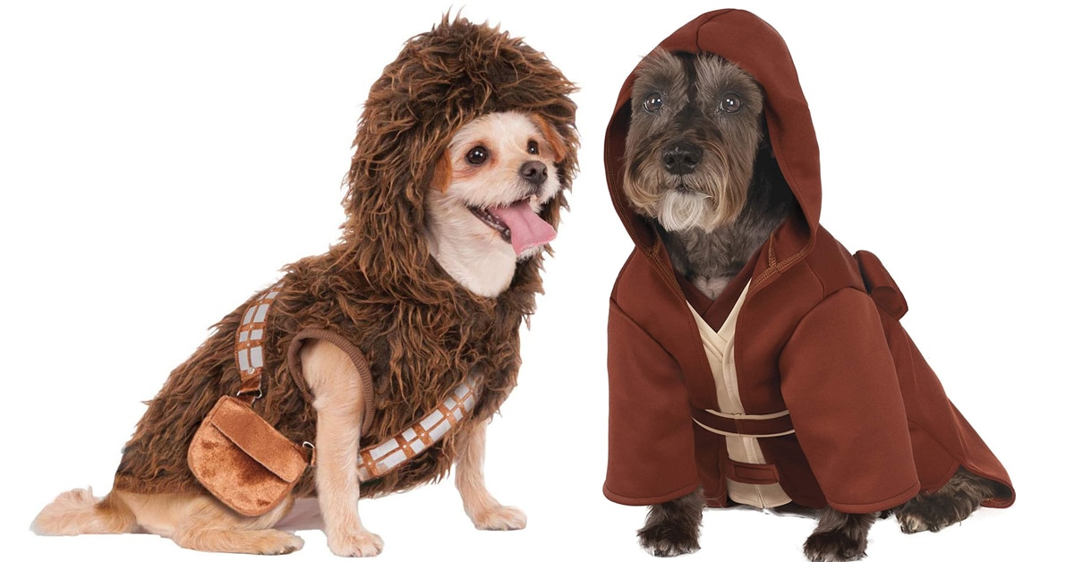 The most popular Star Wars-inspired names for pets
