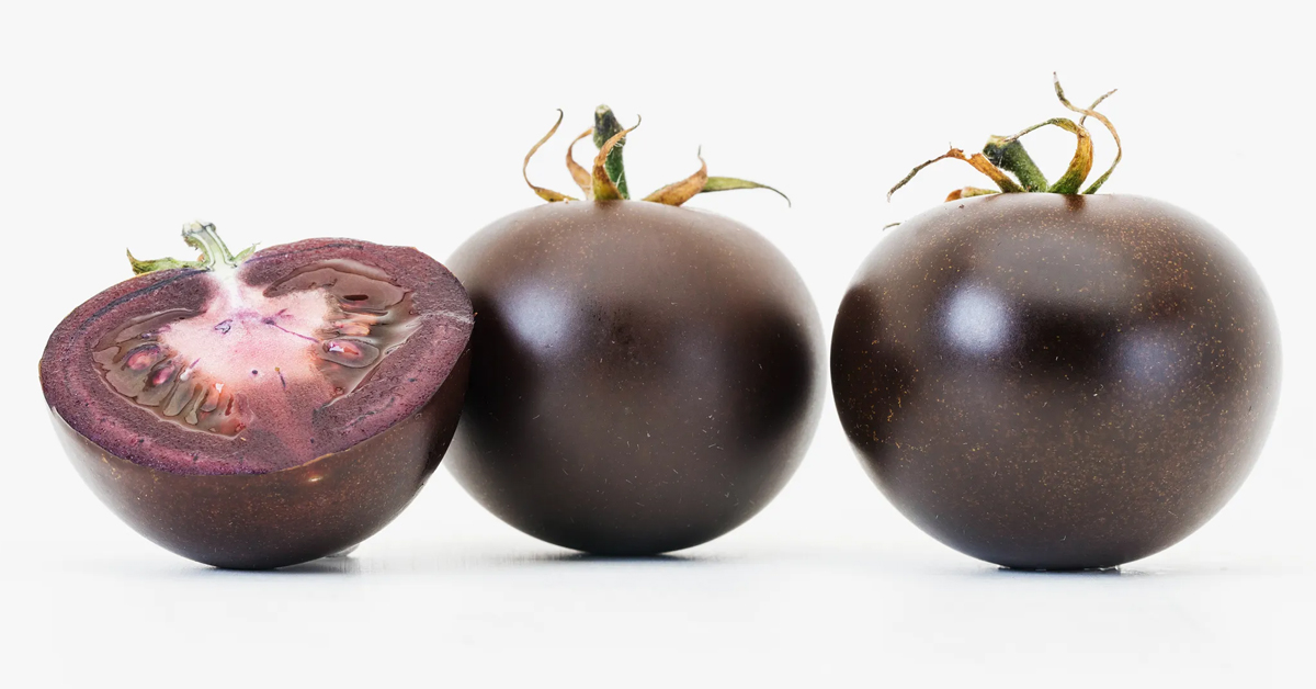 One sliced and two whole purple tomatoes developed by Norfolk Plant Sciences