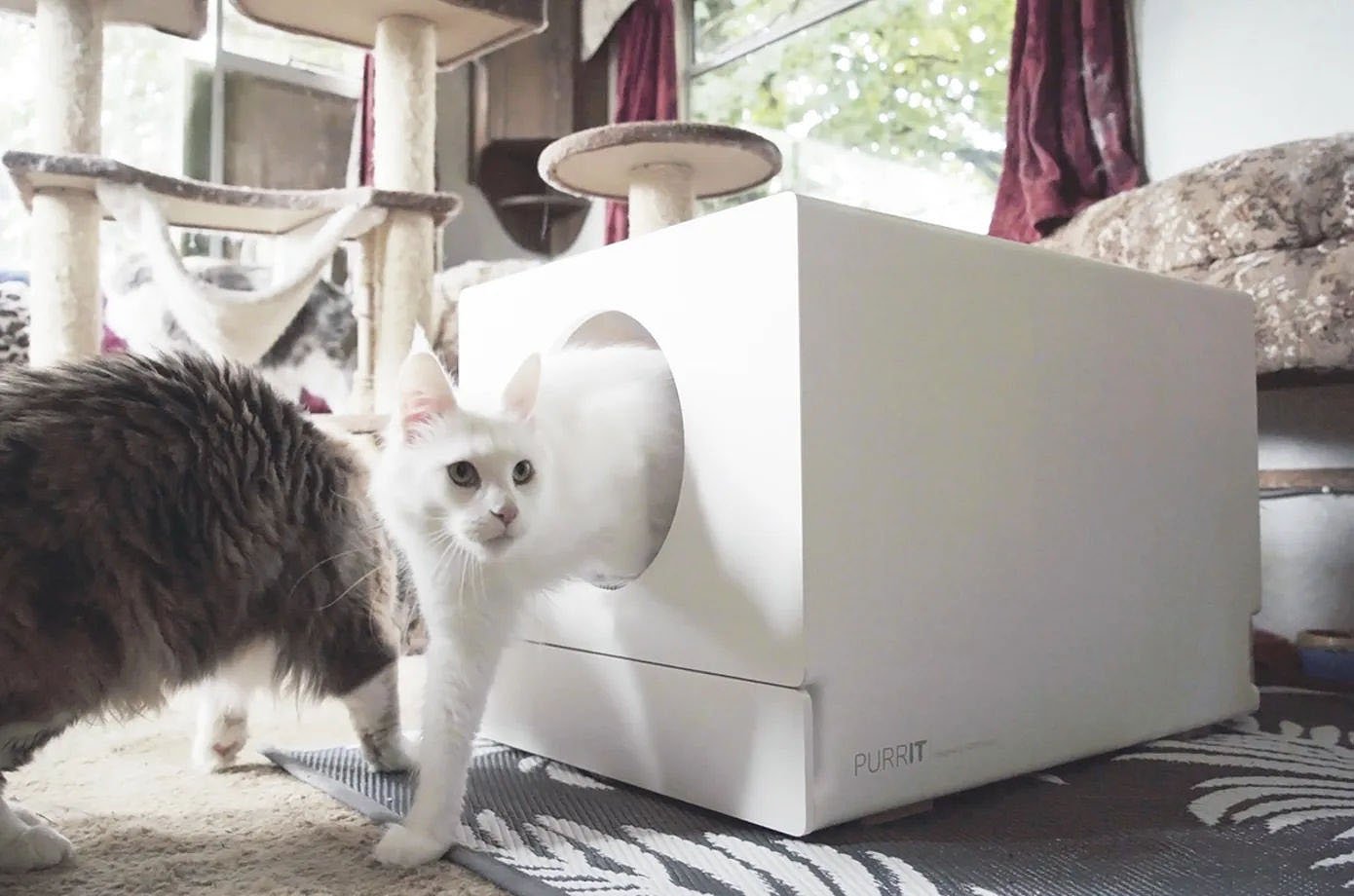 Scubic litter box