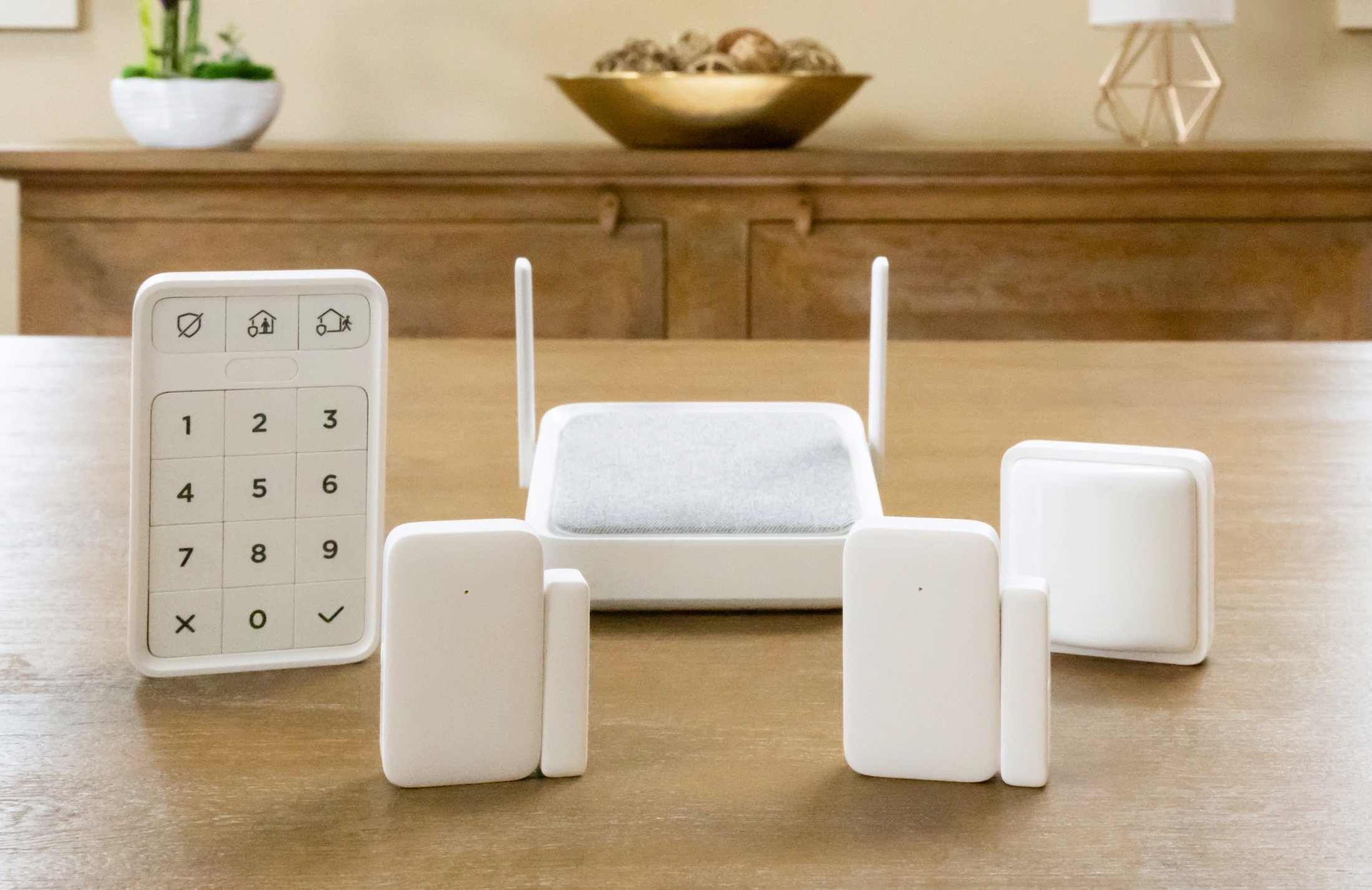 Home Monitoring System SE