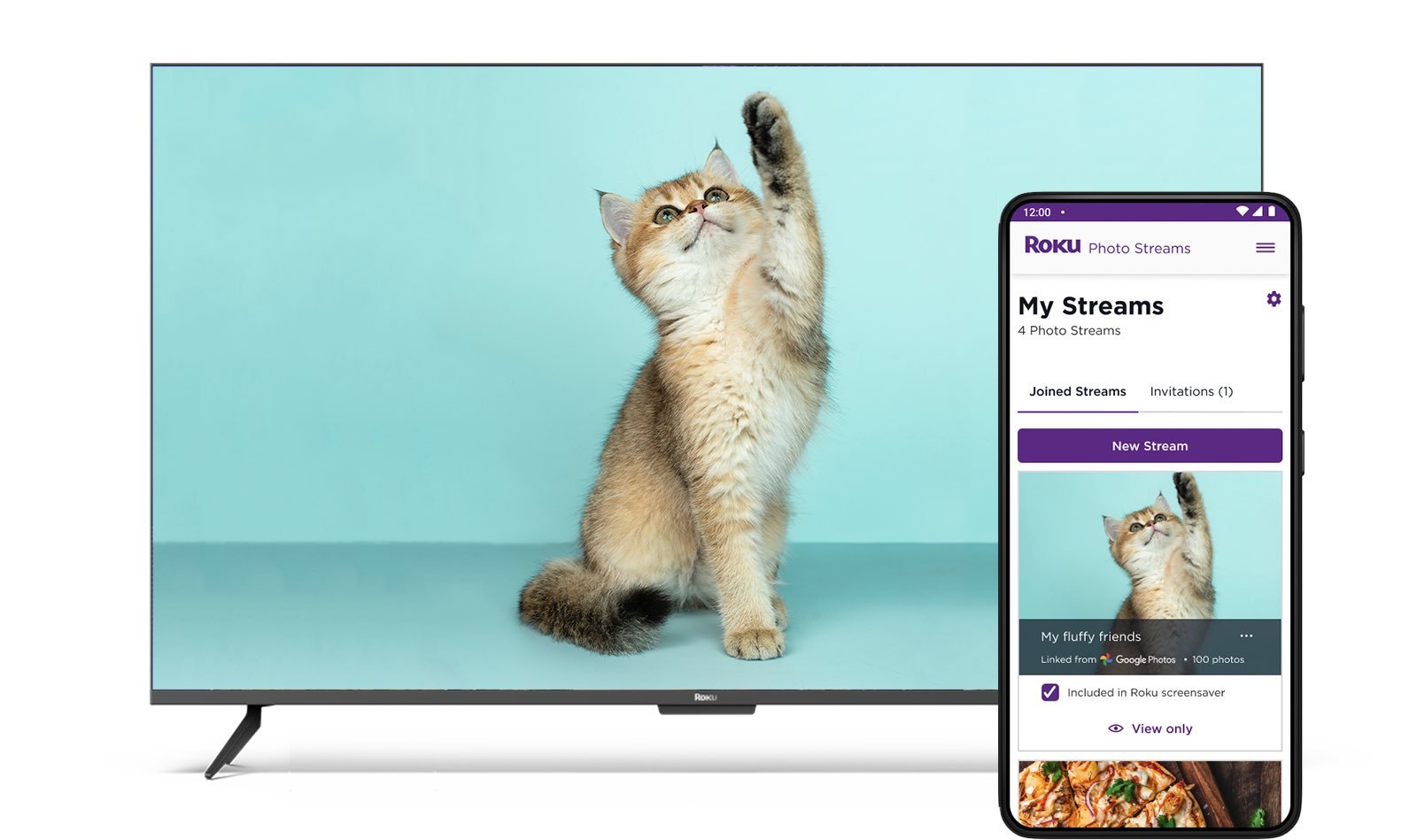 Roku Photo Streams Google Photos