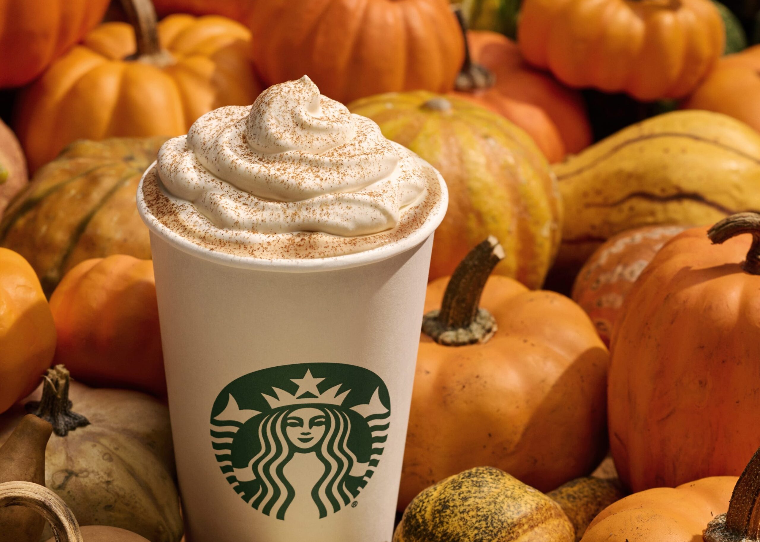 Stabucks' Pumpkin Spice Latte