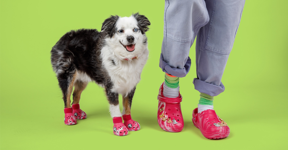 Pet Crocs and their matching Classic Lined Clogs for humans | ©Image Credit: Crocs