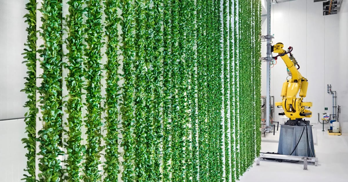 Inside Plenty Unlimited's vertical farming facility | Plenty Unlimited