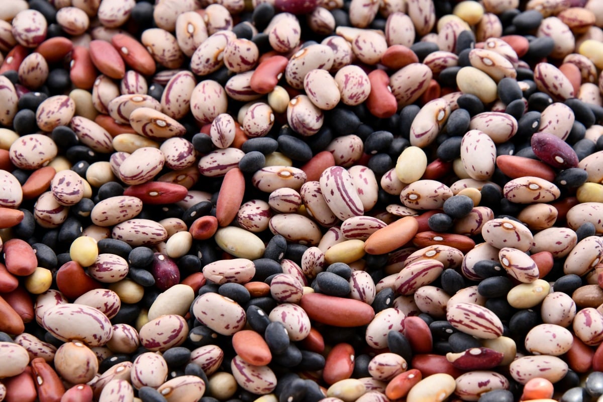 Assorted beans