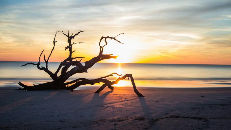 The 10 Most Beautiful Beaches In the US 4 Driftwood Beach