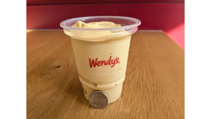 Wendy's Salted Caramel Frosty