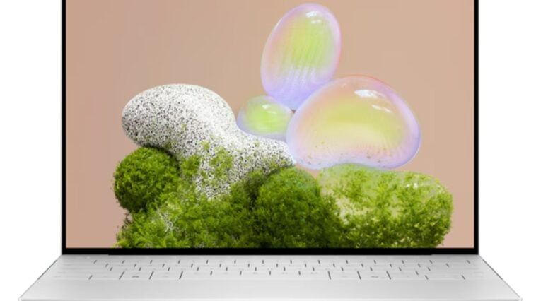 Dell XPS 13 ©Image Credit: Dell