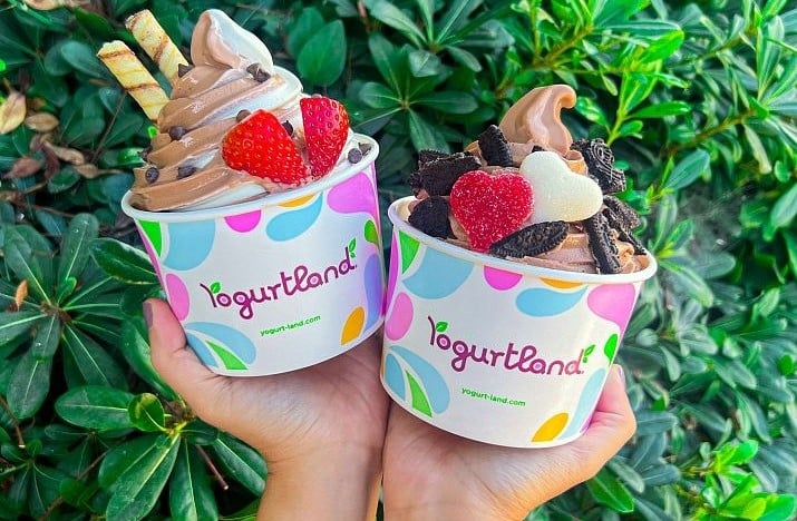 Yogurtland's Chocolate Hazelnut Lava Cake and Chocolate Covered Strawberry flavors