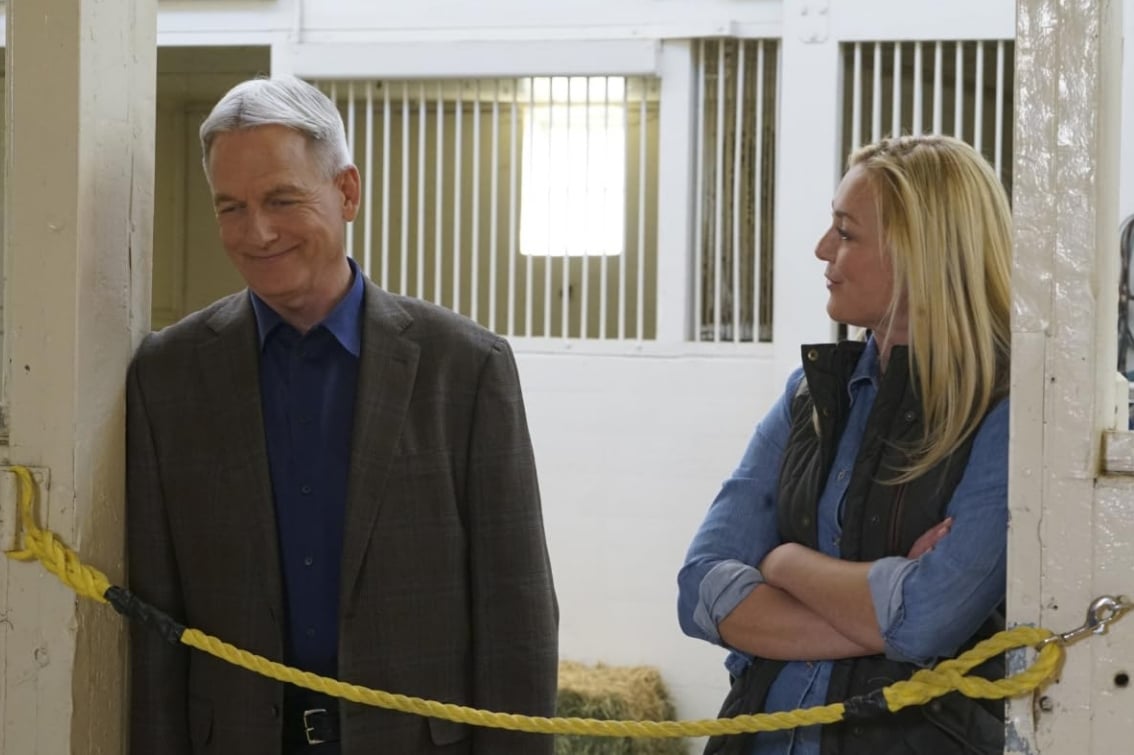 Mark Harmon and Elisabeth Röhm in NCIS (2003) |