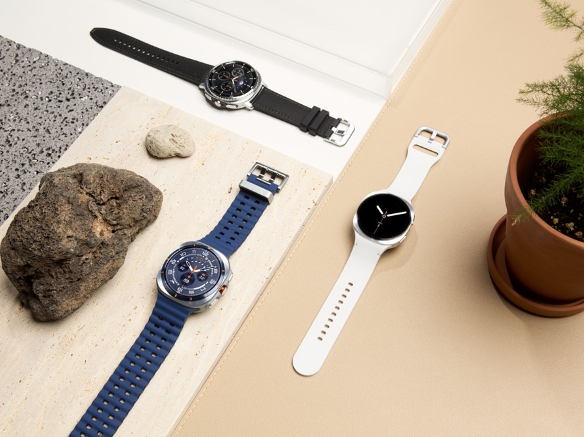 Samsung Galaxy Watch 8 Series ©Image Credit: Samsung