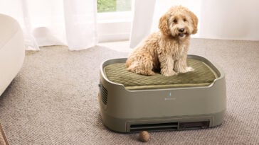 A bed they love. Cleaner air you’ll love. Meet Blueair’s PetAir Pro—the purifier made for pets and their humans. | ©Image Credit: Blueair