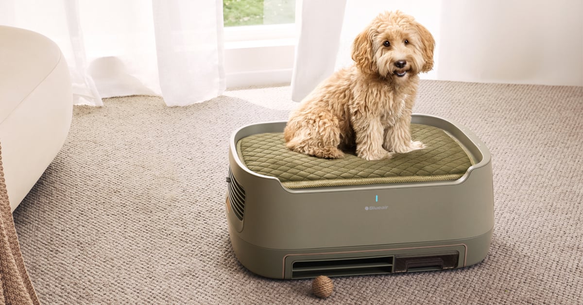 A bed they love. Cleaner air you’ll love. Meet Blueair’s PetAir Pro—the purifier made for pets and their humans. | ©Image Credit: Blueair