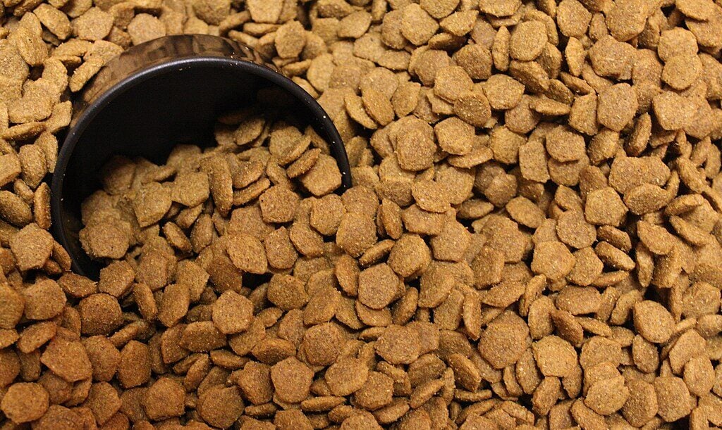 Dry Kibble 