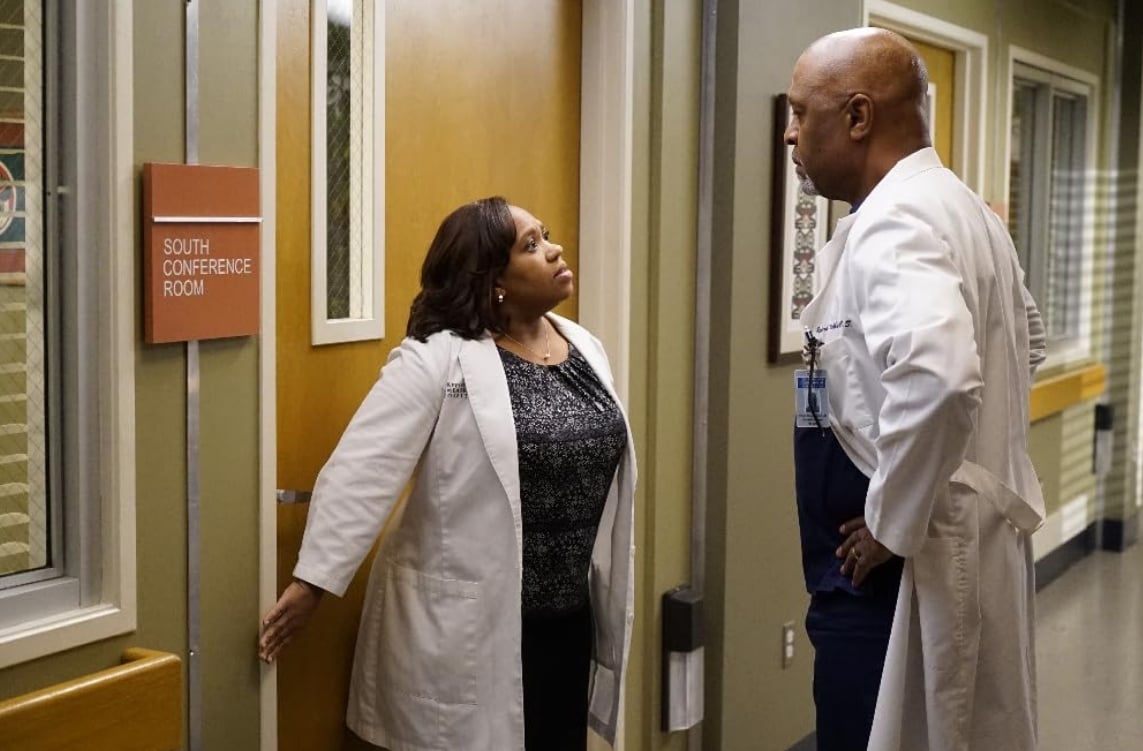 Every ABC show cancelled and renewed for 2025 7 James Pickens Jr. and Chandra Wilson in Grey's Anatomy (2005)